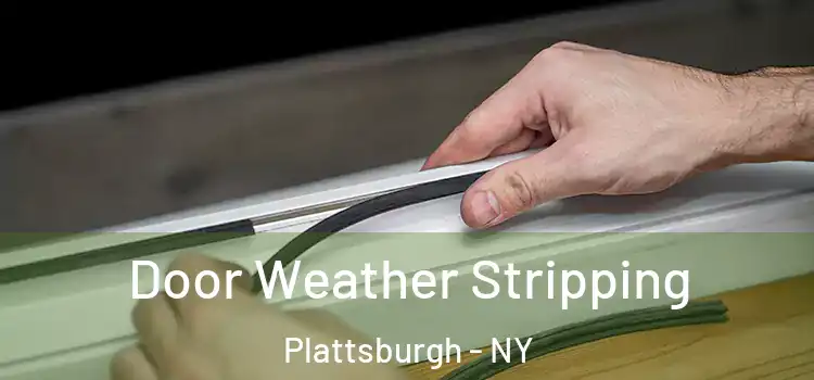 Door Weather Stripping Plattsburgh - NY