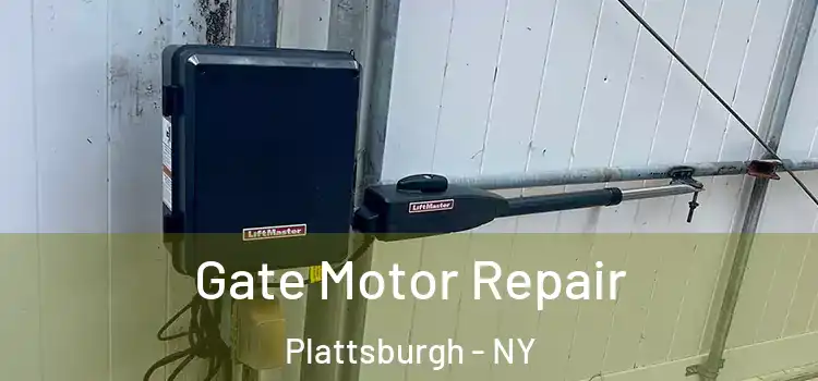 Gate Motor Repair Plattsburgh - NY