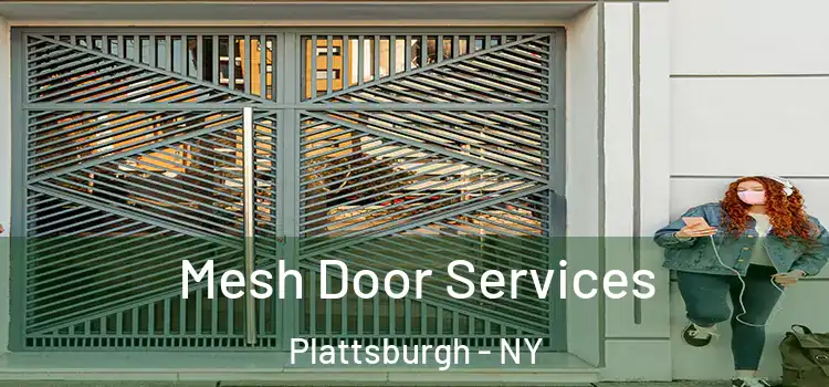 Mesh Door Services Plattsburgh - NY